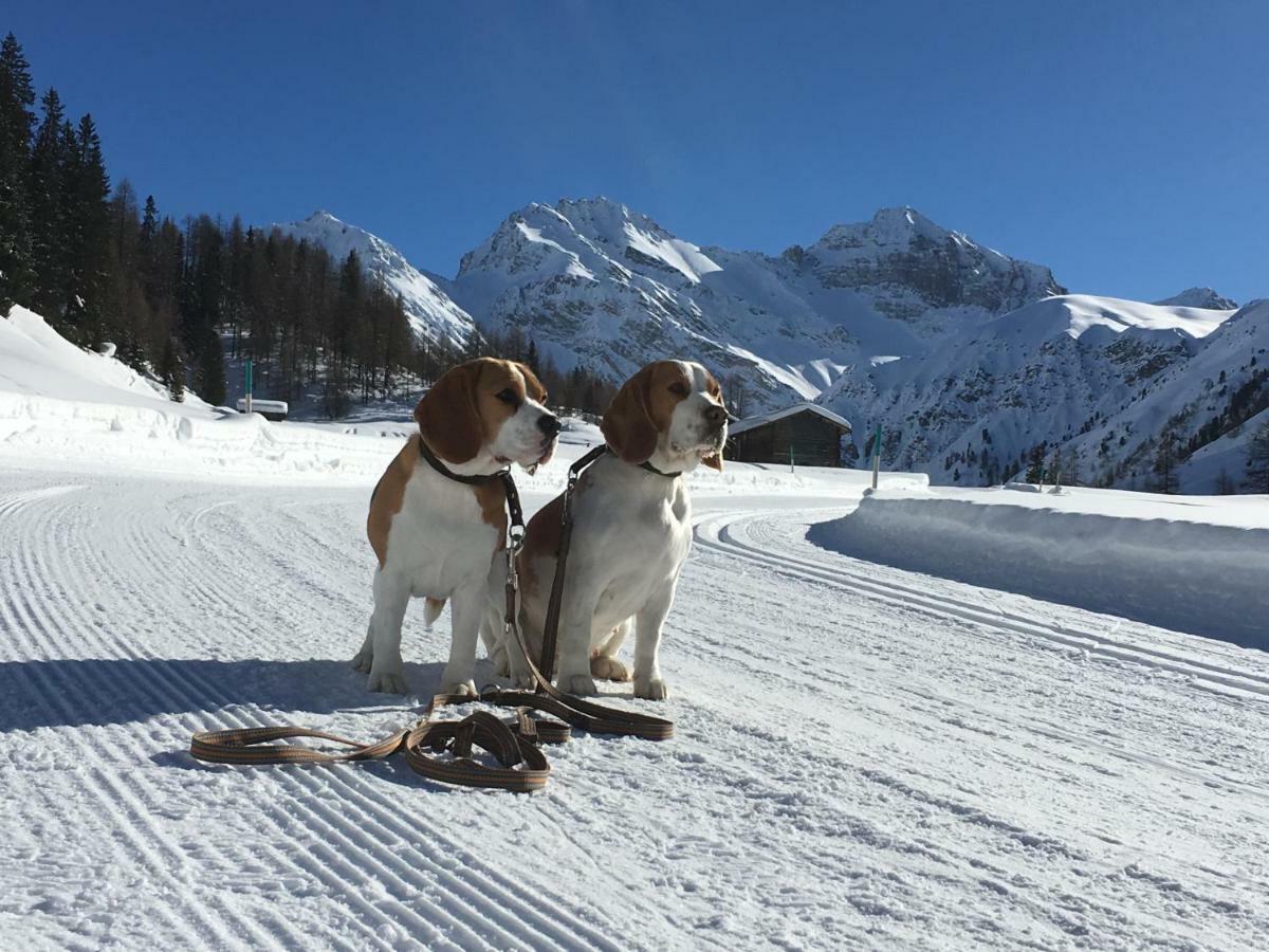 Sertig Ferienwohnung Davos Zewnętrze zdjęcie